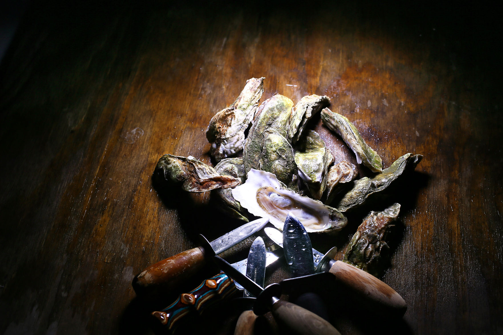 oyster festivals charleston scene cover.jpg (copy)